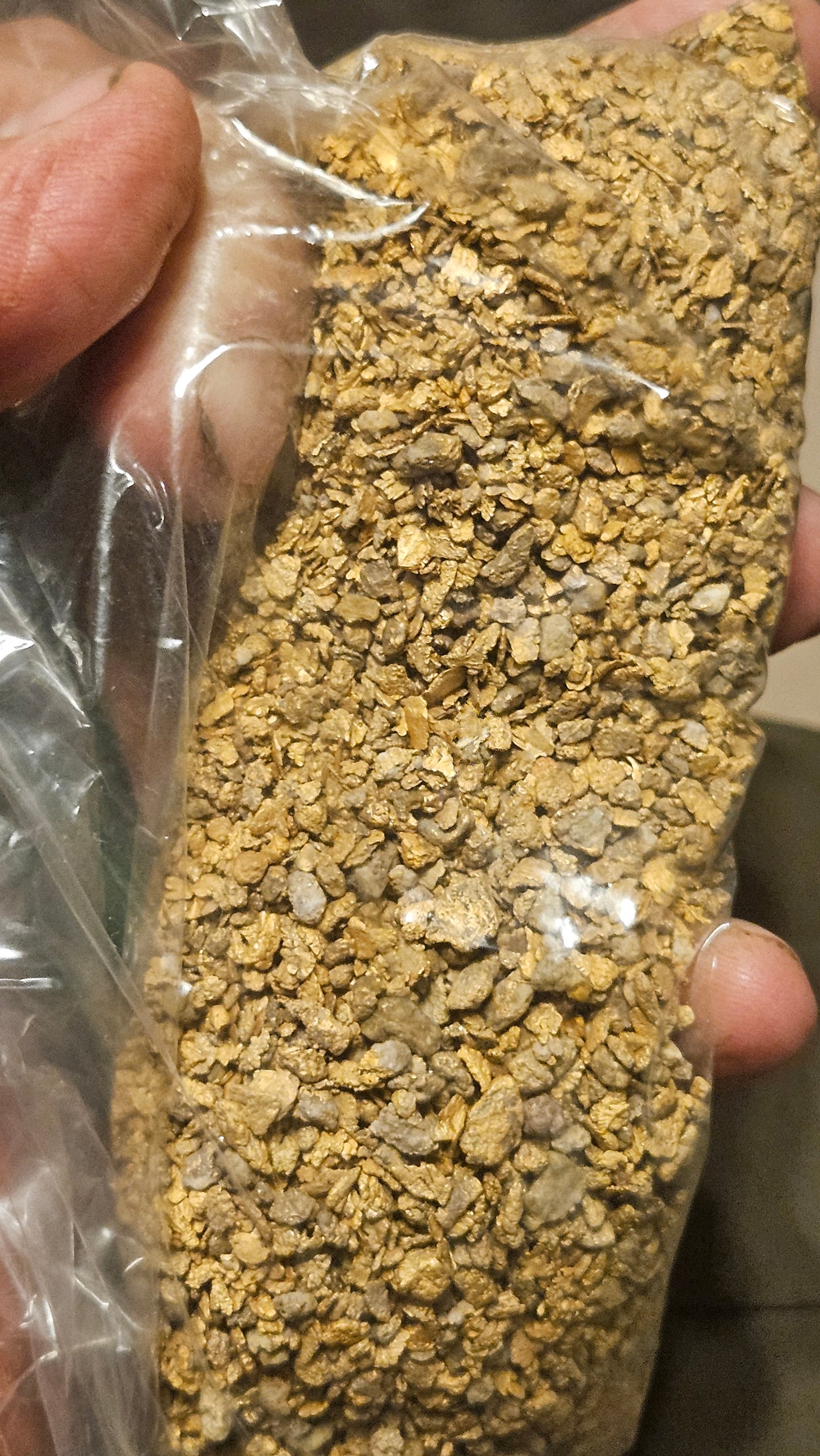 INSANE CHRISTMAS SALE! NO COUPON - RICHEST NEVADA PAYDIRT EVER!!!! 3 Grams and UP!