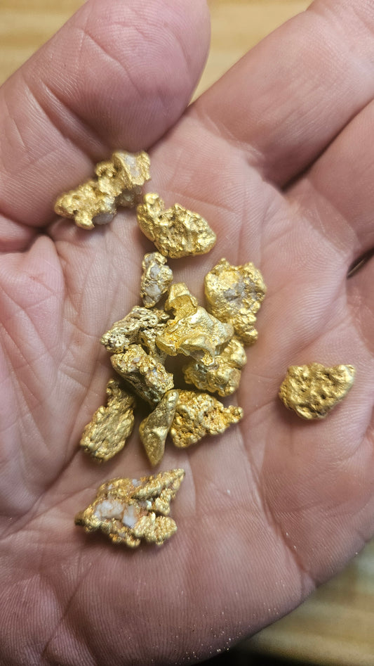 High Purity Mexican paydirt. Biggest chunkiest gold