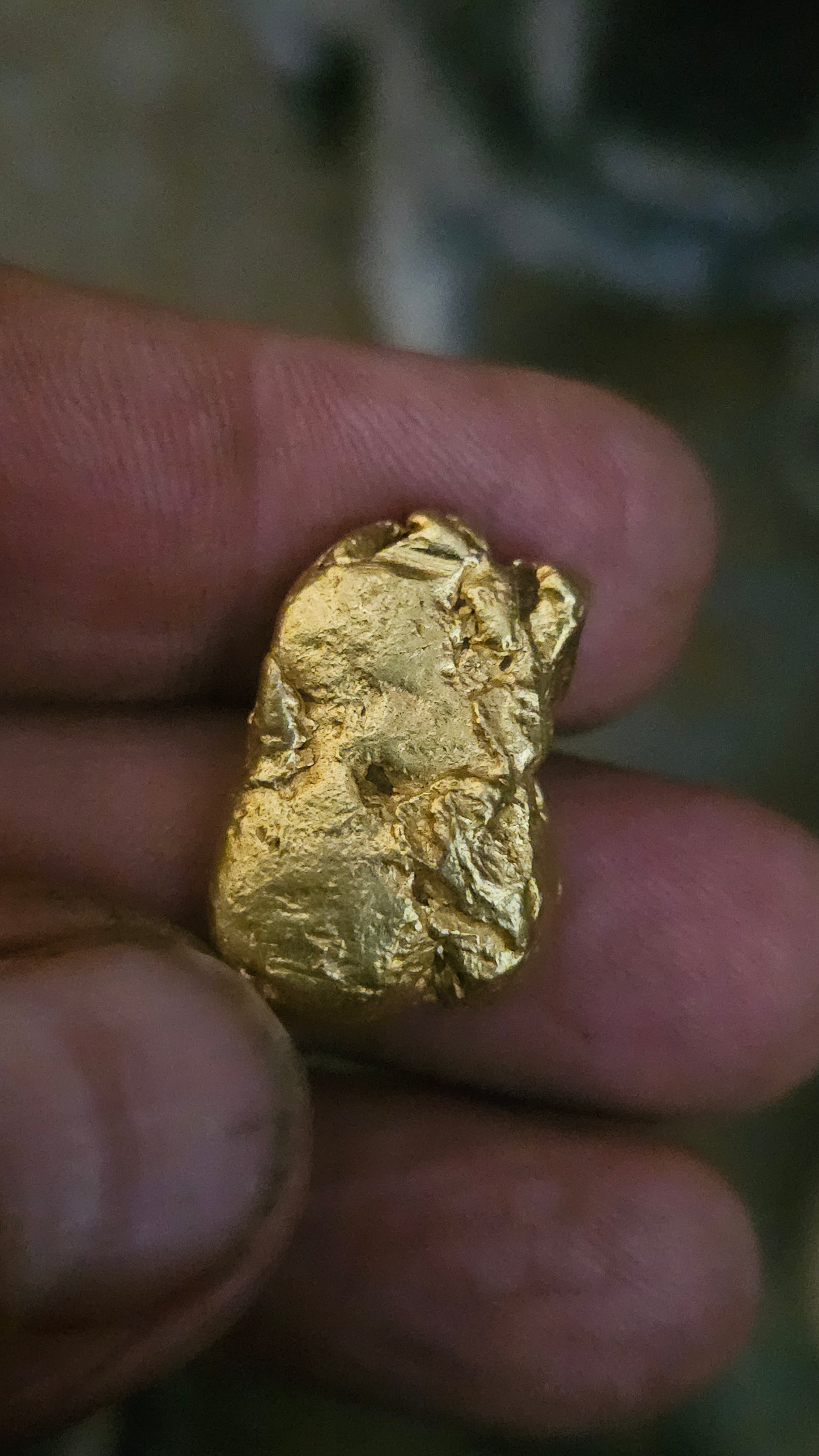 30.39 solid dense gold nugget from Mexico - stunner