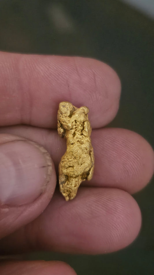 Beautiful gold nugget from Arizona 11.7 grams