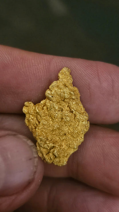 Beautiful gold nugget from Arizona 13.3 grams