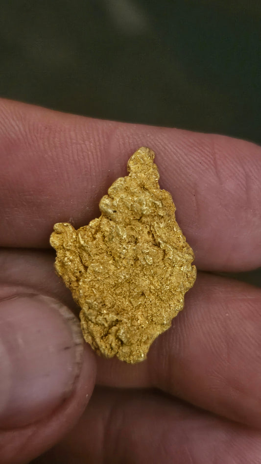 Beautiful gold nugget from Arizona 13.3 grams