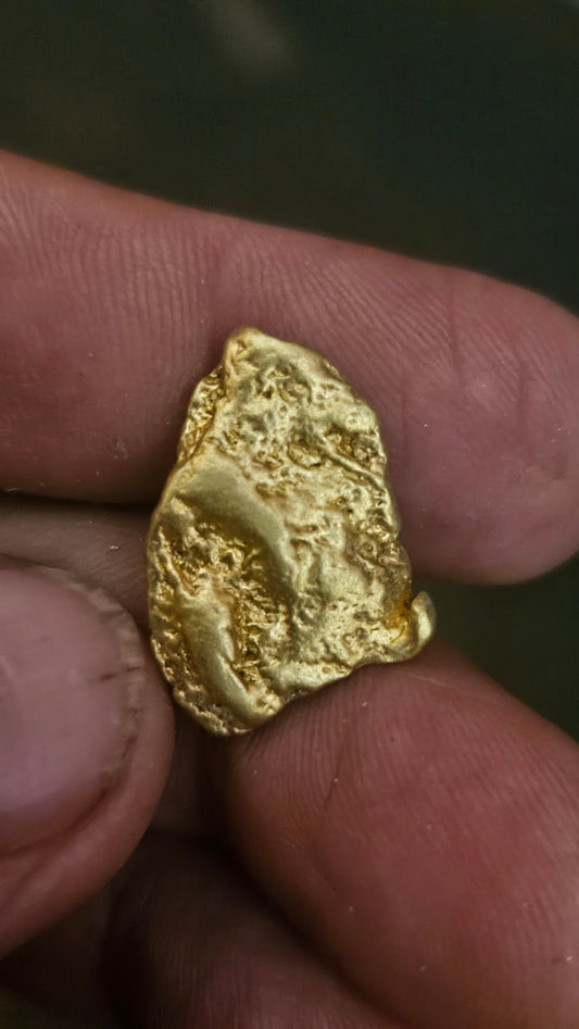 8.8 gram Mexican gold nugget
