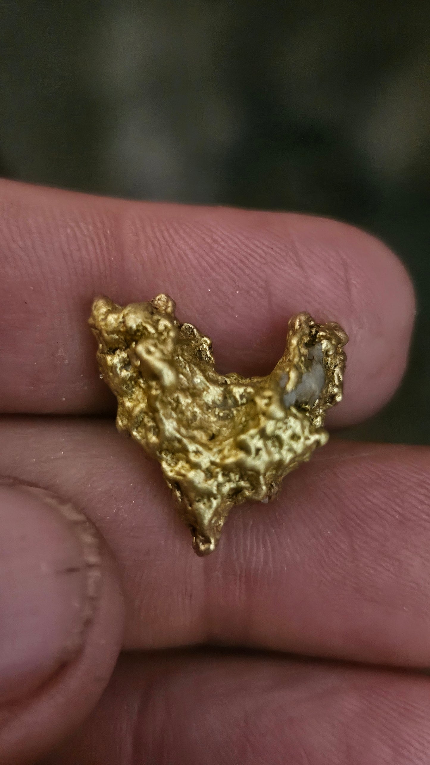 Super cool 12.1 gram Mexican gold nugget