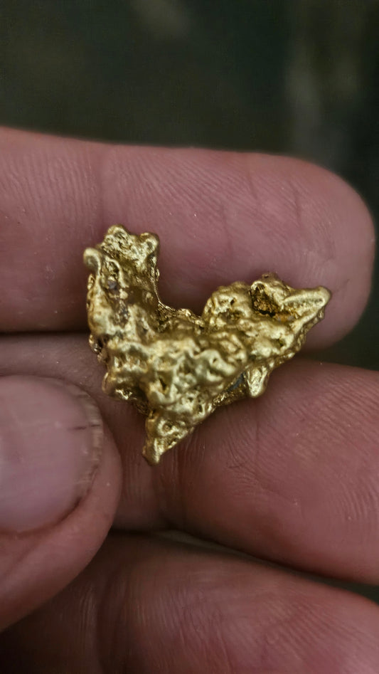 Super cool 12.1 gram Mexican gold nugget