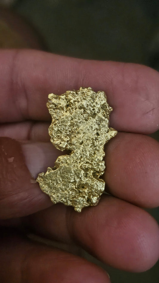 Big and flat 10.9 gram Mexican gold nugget