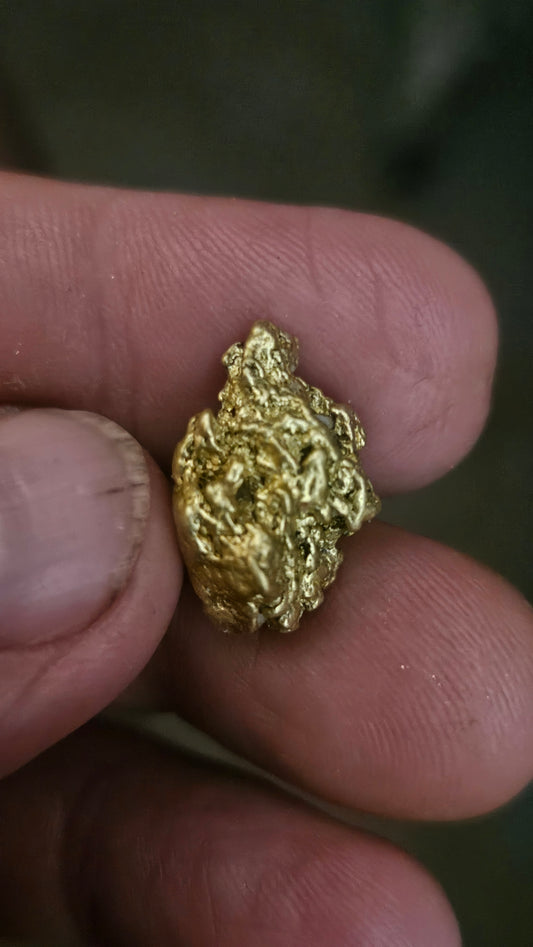 Chunky coarse 8.78 gram Mexican gold nugget