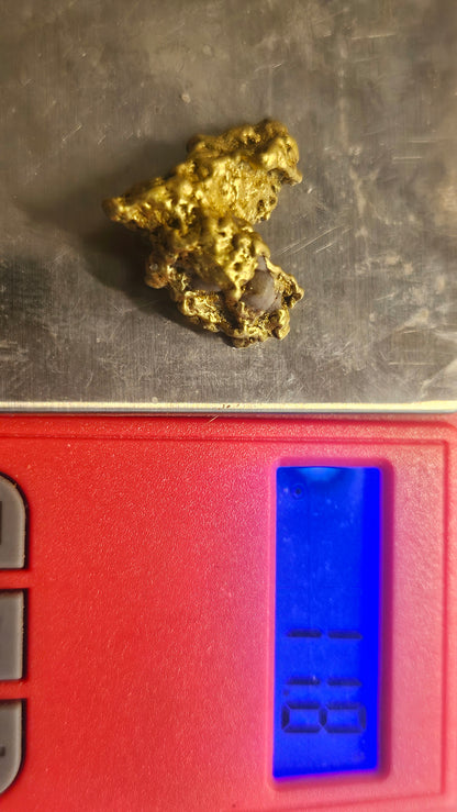 Super cool 12.1 gram Mexican gold nugget