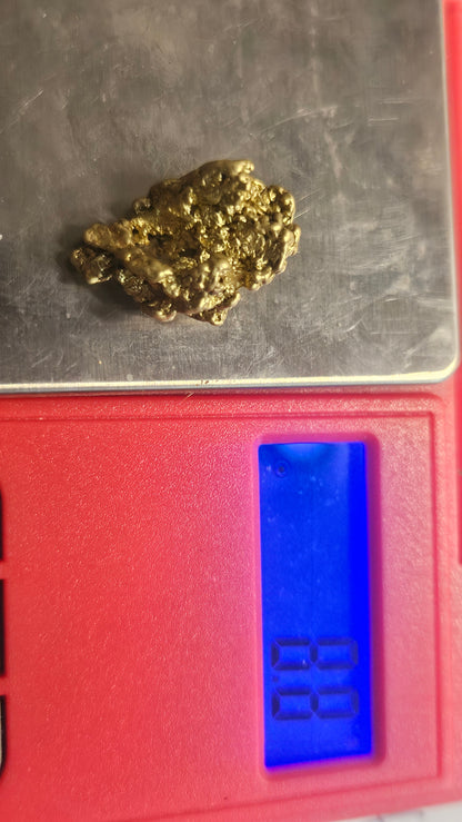 Chunky coarse 8.78 gram Mexican gold nugget