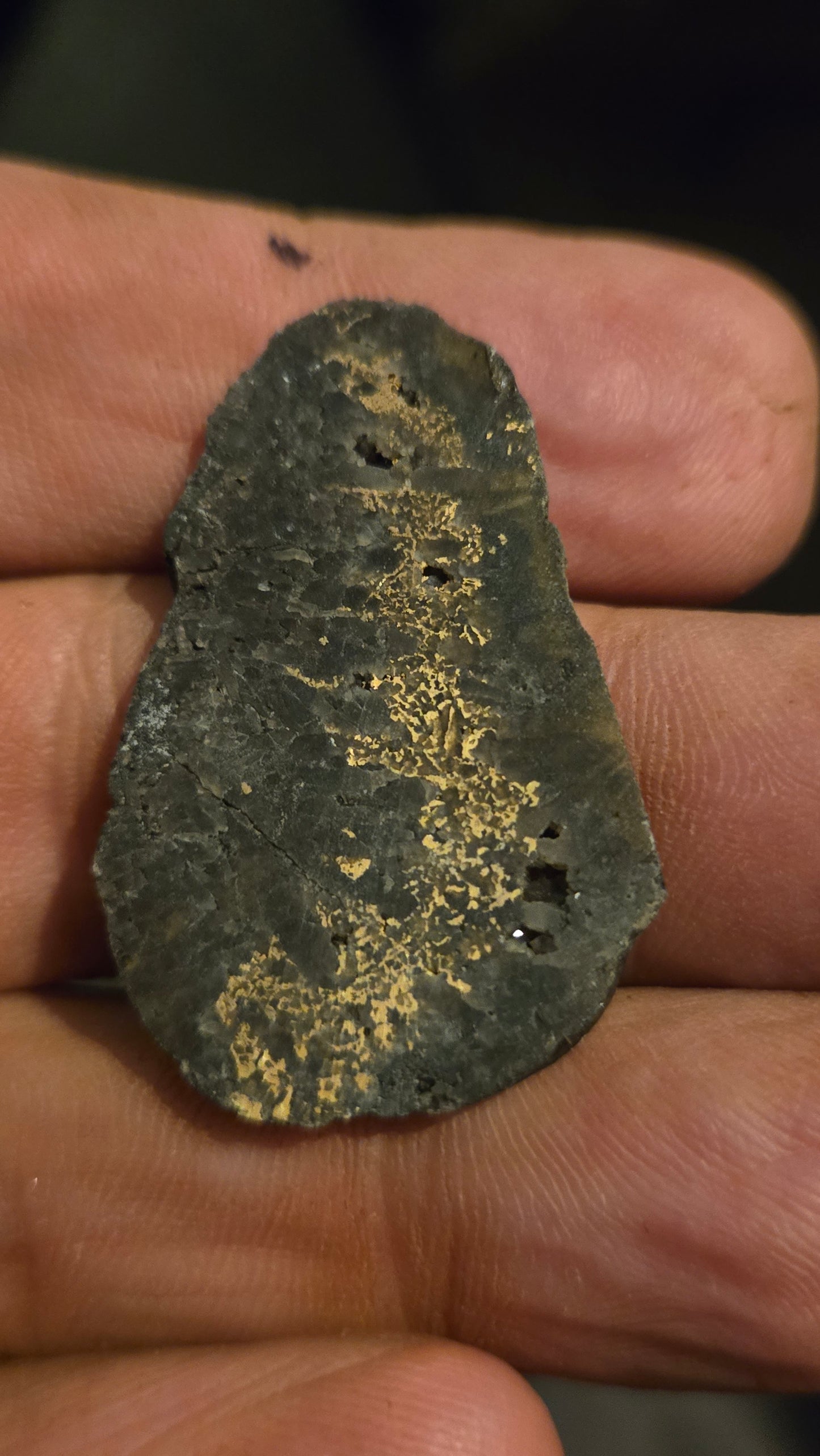 Black quartz and gold slab - 4.88 grams - 2.54mm