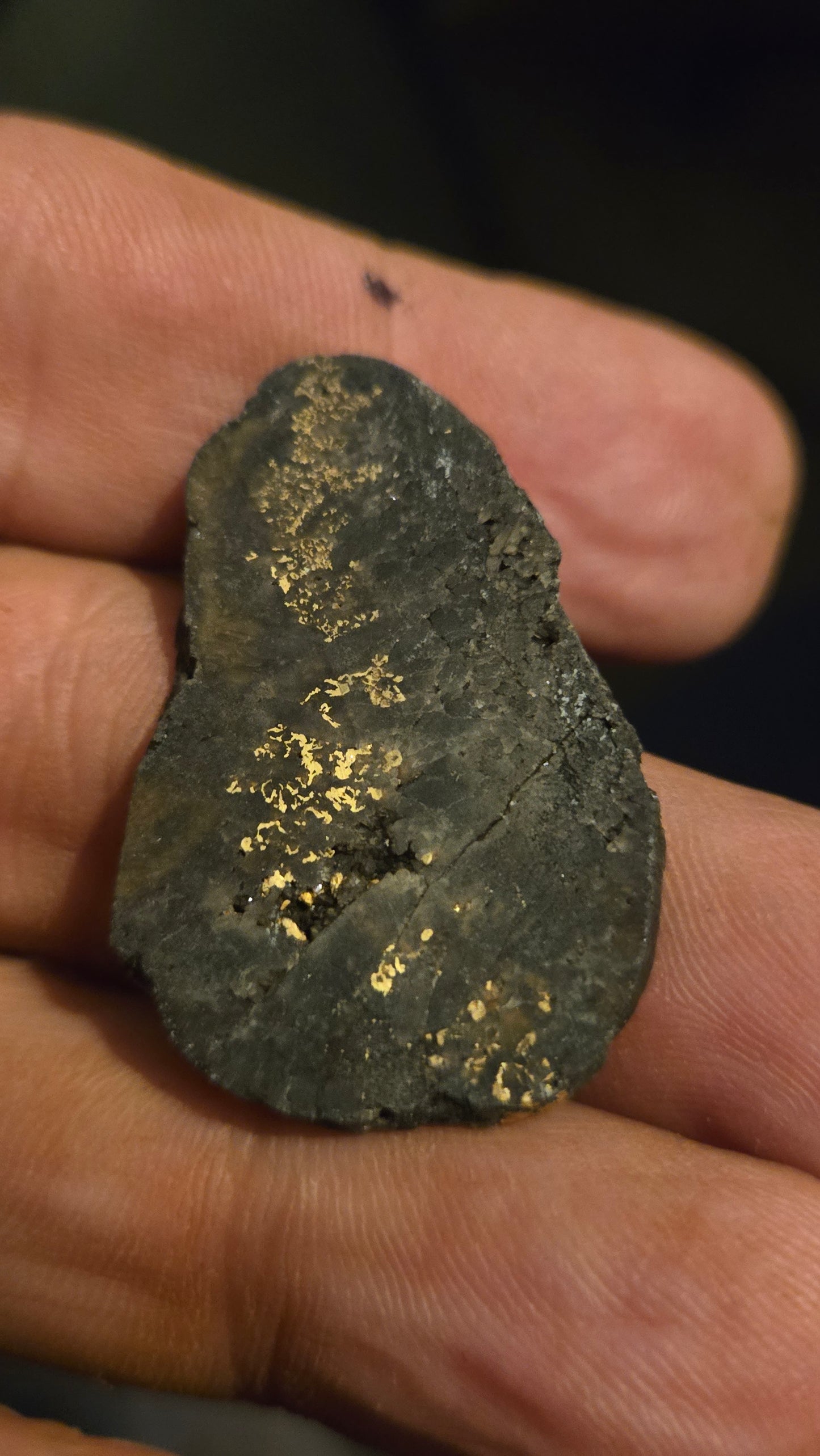 Black quartz and gold slab - 4.88 grams - 2.54mm