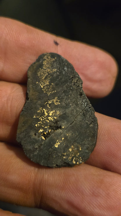 Black quartz and gold slab - 4.88 grams - 2.54mm