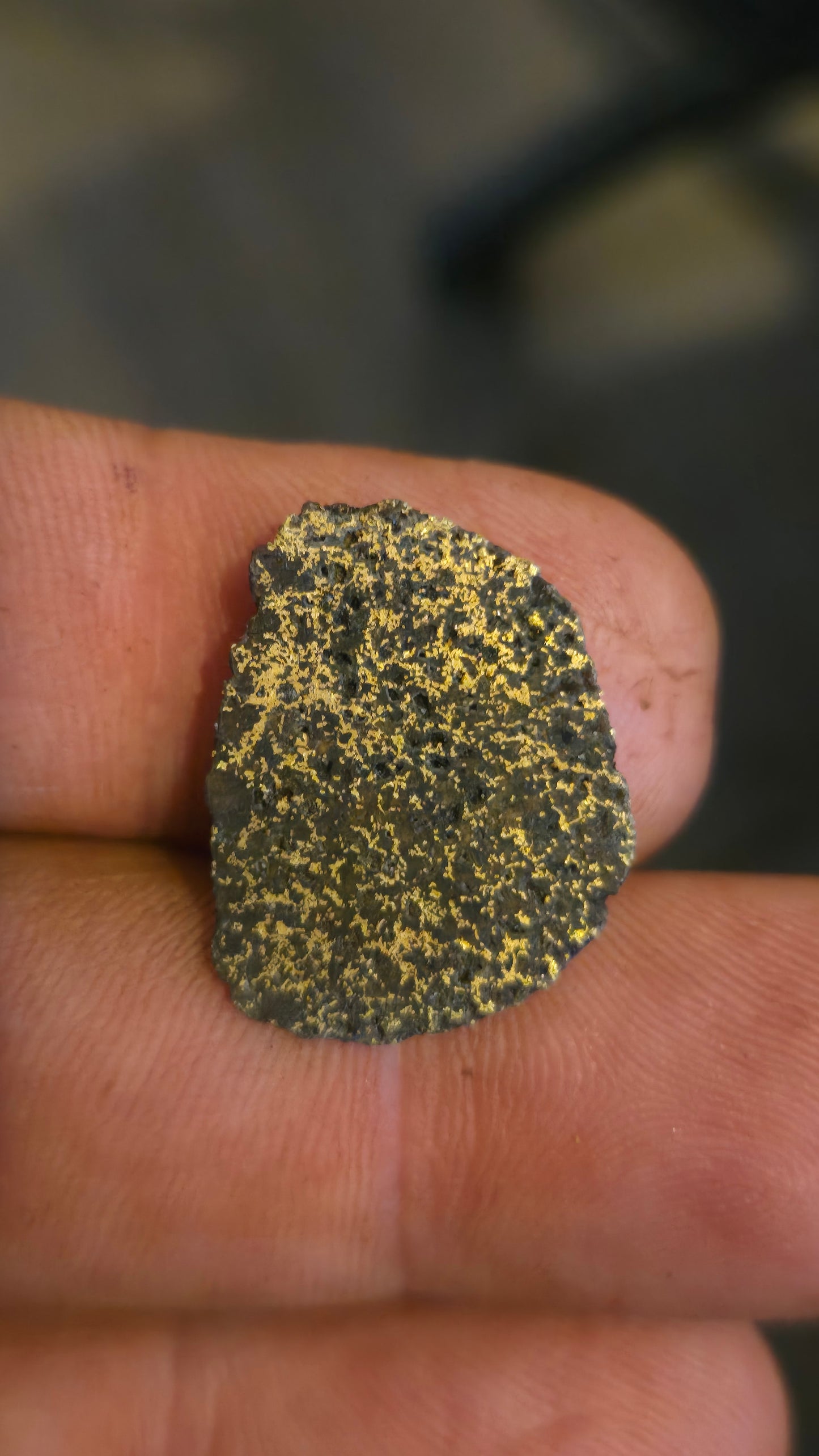 Black quartz and gold slab - 2.39 grams - 3.68mm - end cut