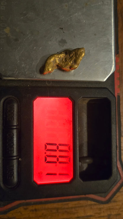 HIgh purity Mexican Gold nugget - 8.84 grams