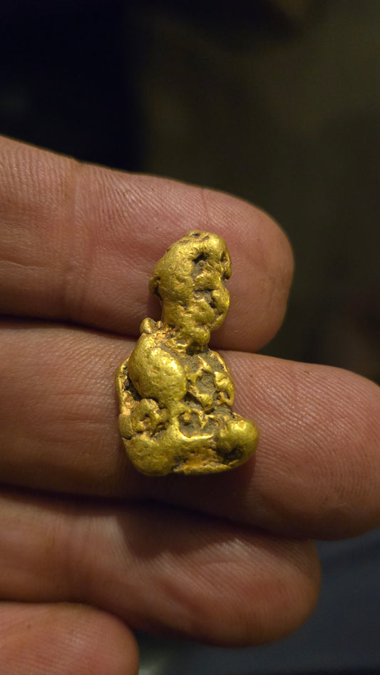 HIgh purity Mexican Gold nugget - 11.96 grams