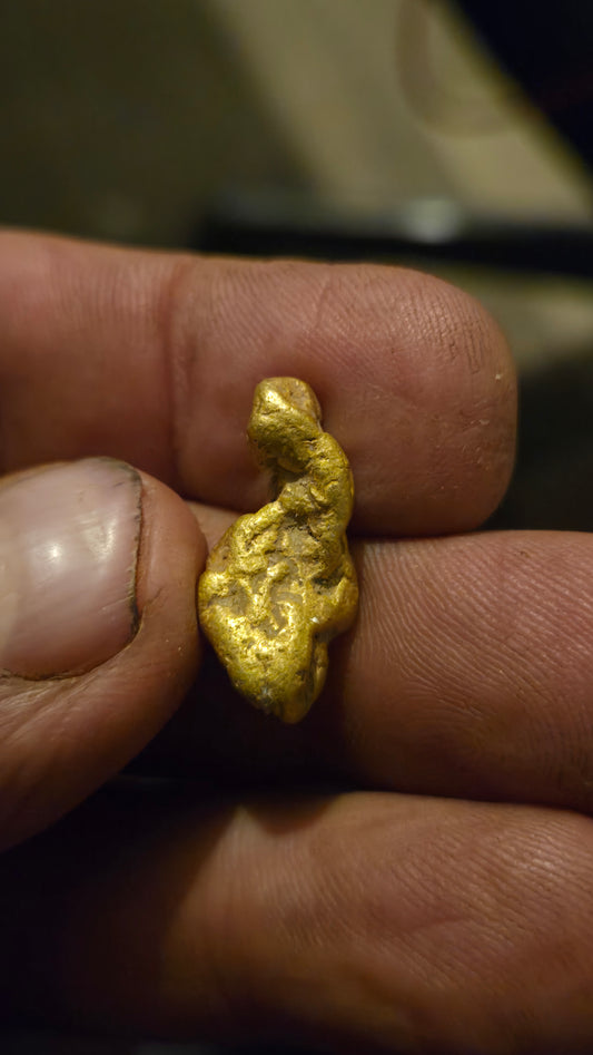 HIgh purity Mexican Gold nugget - 8.84 grams