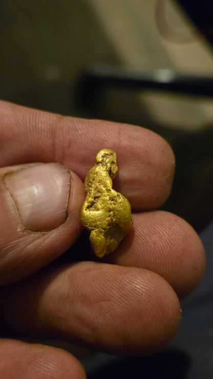HIgh purity Mexican Gold nugget - 8.84 grams
