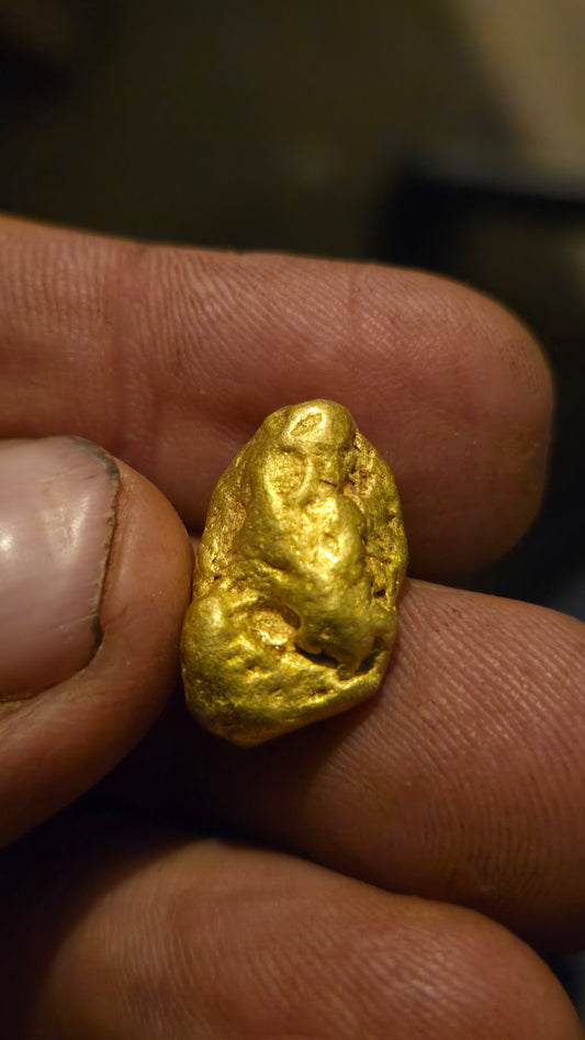 HIgh purity Mexican Gold nugget - 16.76 grams
