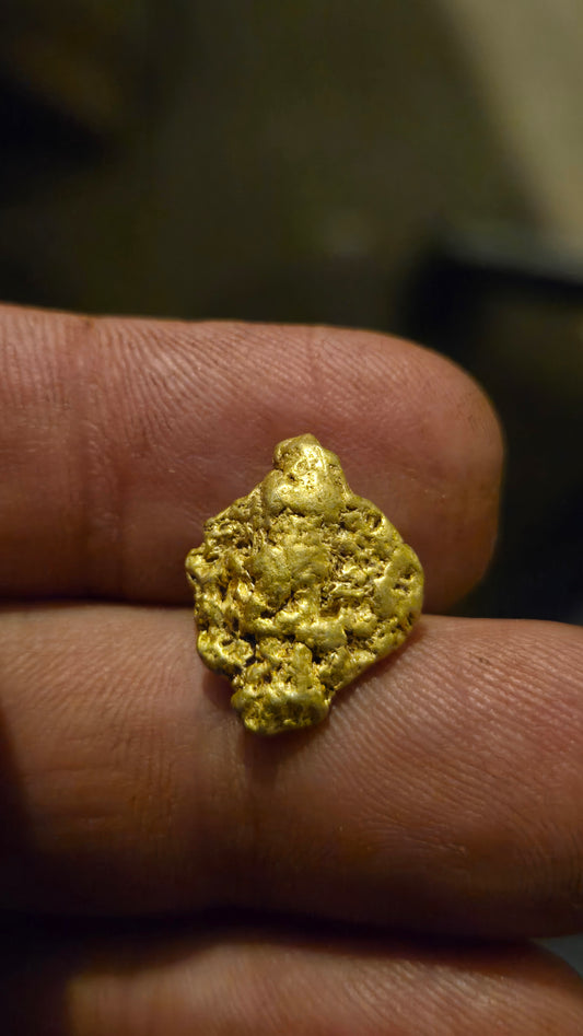 HIgh purity Mexican Gold nugget - 5.79 grams