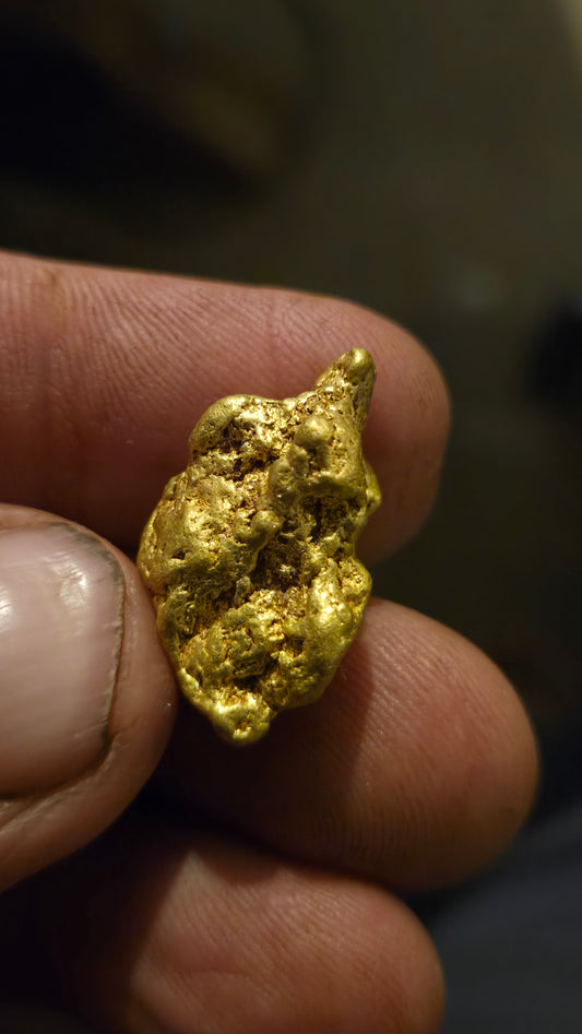 HIgh purity Mexican Gold nugget - 16.39 grams