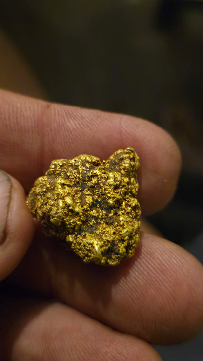 HIgh purity Mexican Gold nugget - 17.48 grams