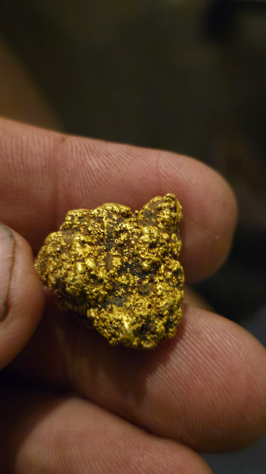 HIgh purity Mexican Gold nugget - 17.48 grams