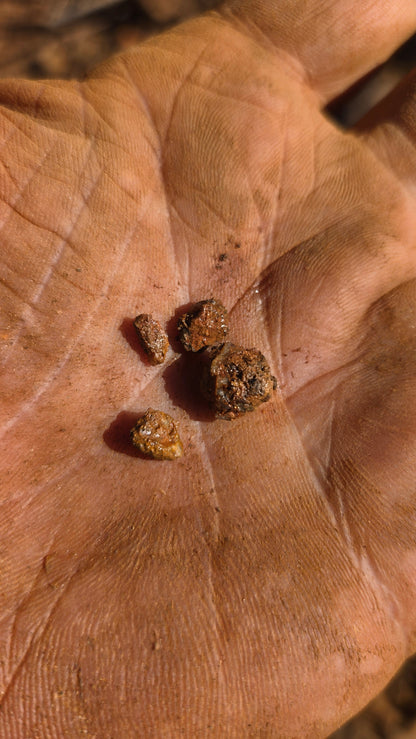 Motherlode Hardrock unsearched Paydirt - Gold added