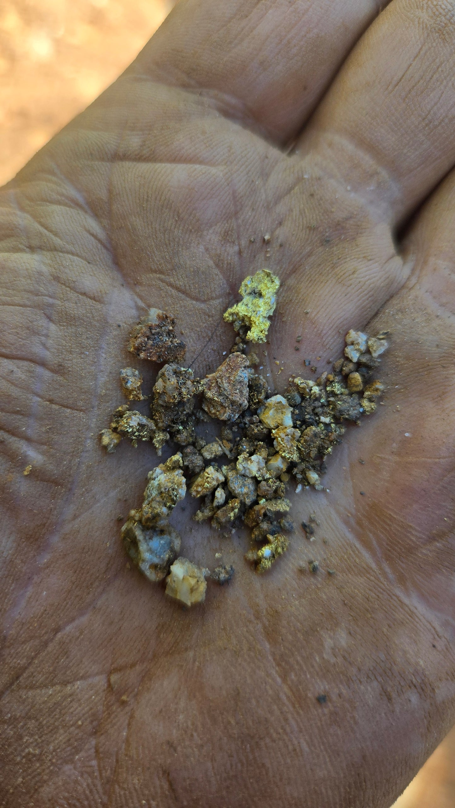 Motherlode Hardrock unsearched Paydirt - Gold added