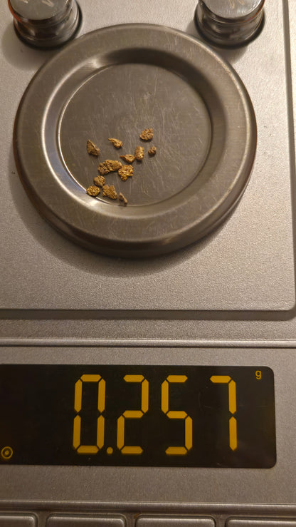 My First Gold Panning Kit: Unforgettable Adventure 1 pound Paydirt Bag for Kids