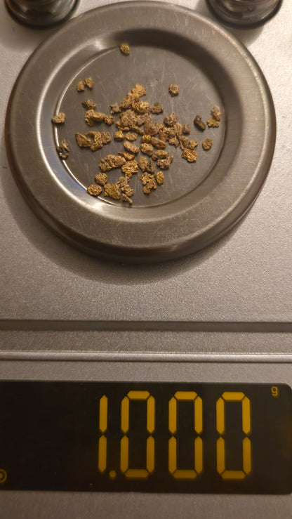 My First Gold Panning Kit: Unforgettable Adventure 1 pound Paydirt Bag for Kids