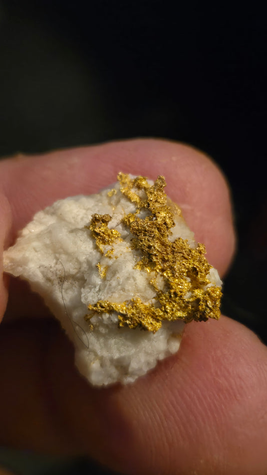 Self collected 6.07 grams gold and quartz from Californias Motherlode Vein