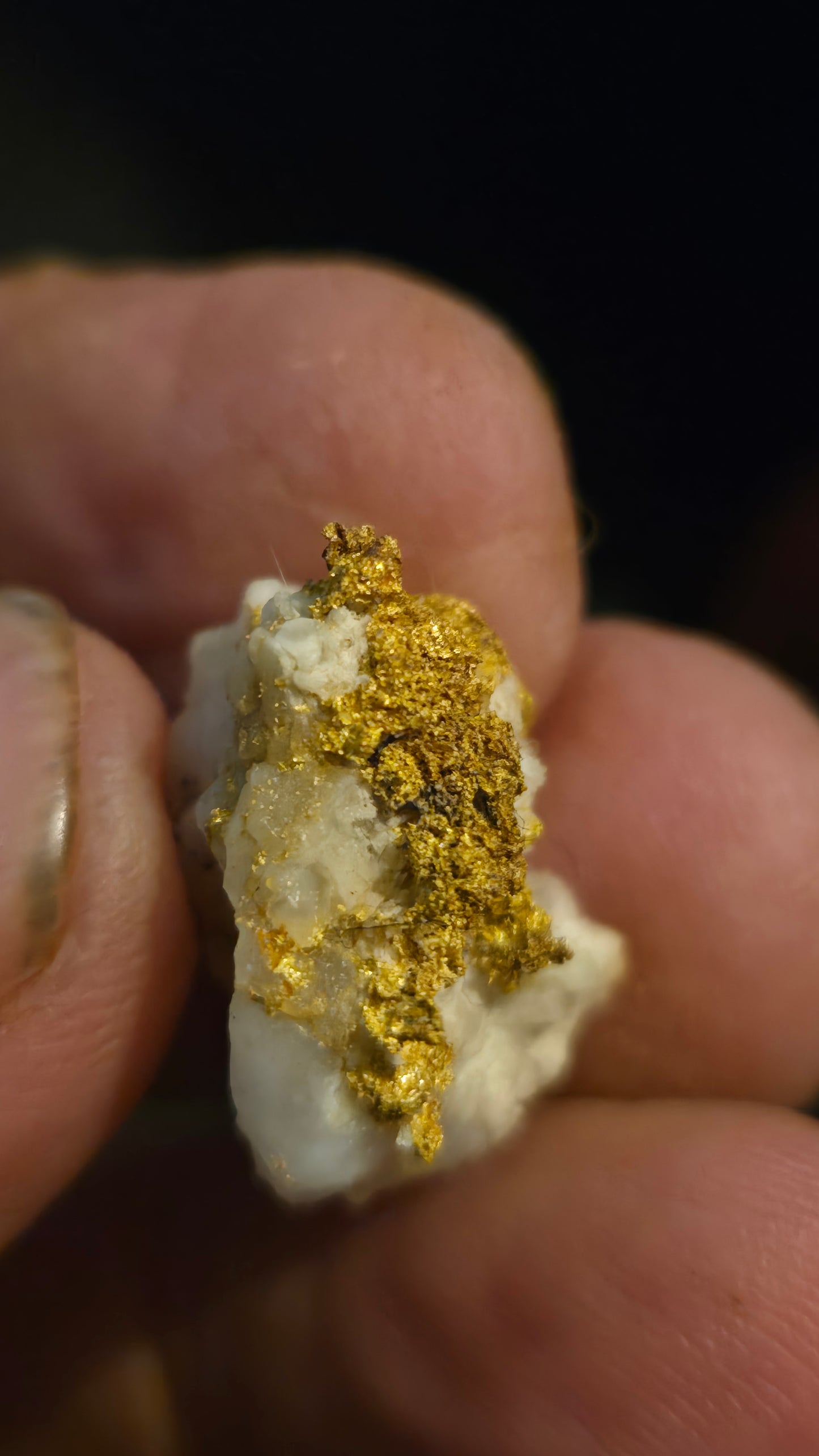 Self collected 6.07 grams gold and quartz from Californias Motherlode Vein
