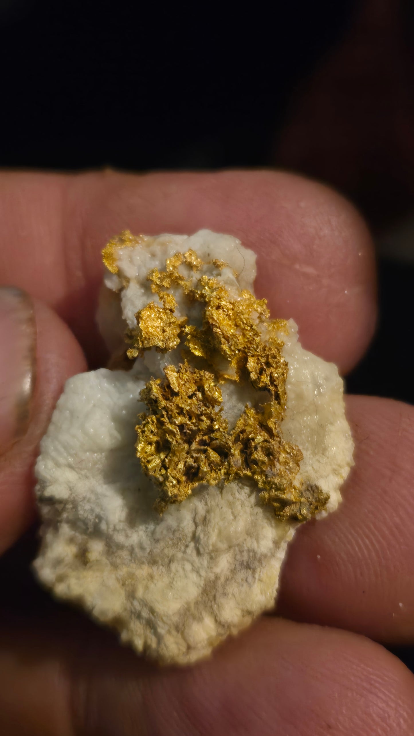 Self collected 11.21 grams gold and quartz from Californias Motherlode Vein