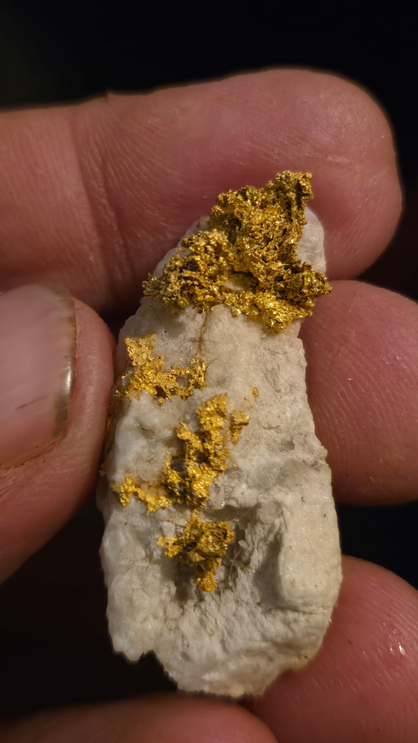 Self collected 12. 95 grams gold and quartz from Californias Motherlode Vein