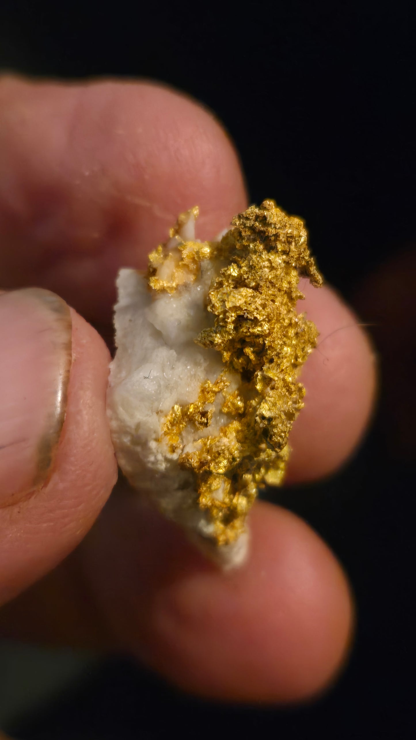 Self collected  11.15 grams gold and quartz from Californias Motherlode Vein