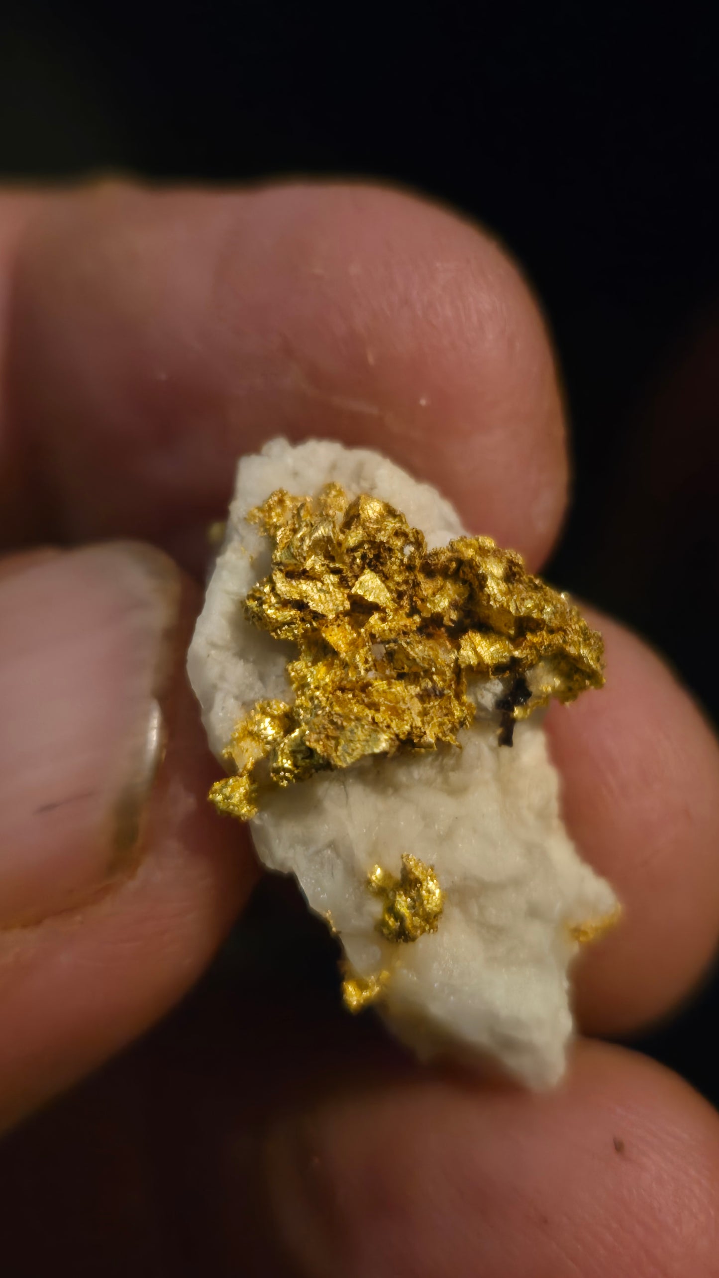 Self collected  6.95 grams gold and quartz from Californias Motherlode Vein