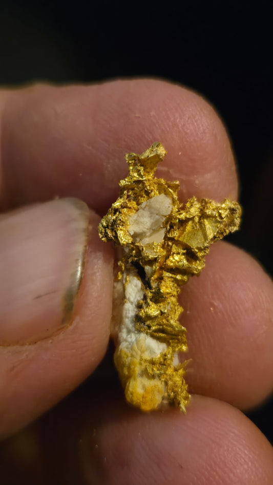 Self collected 4.49 grams gold and quartz from Californias Motherlode Vein