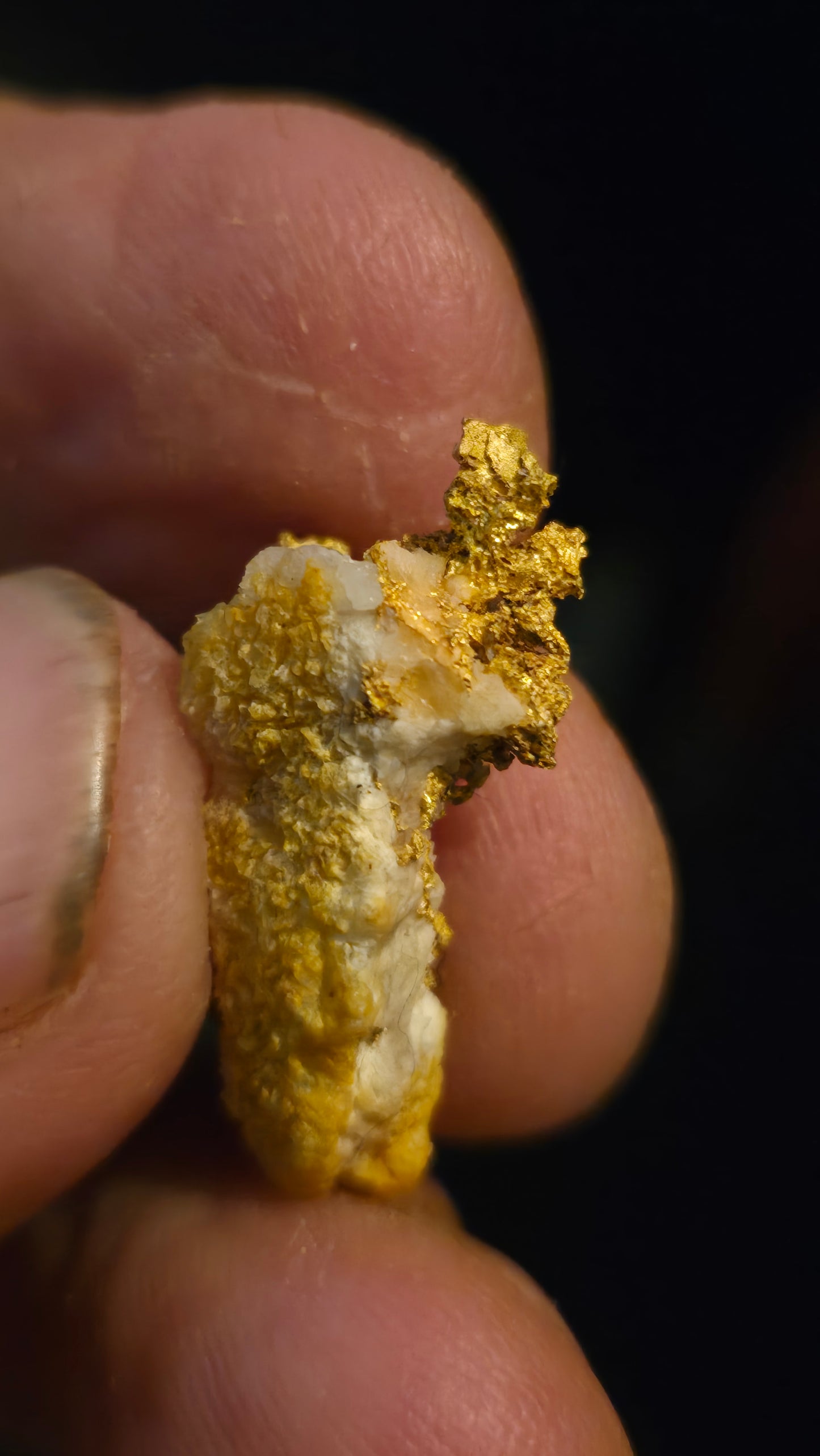 Self collected 4.49 grams gold and quartz from Californias Motherlode Vein