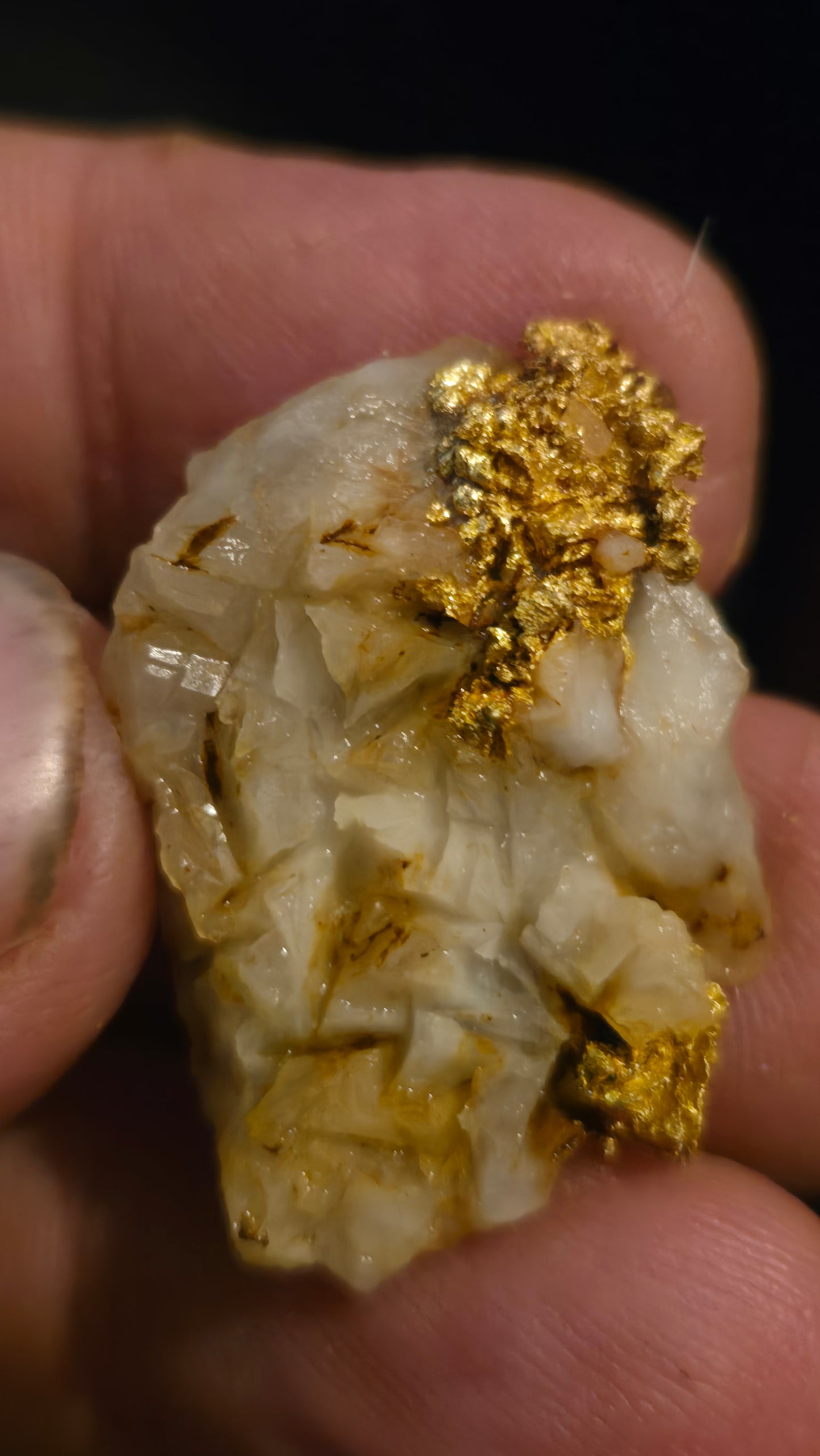Self collected 12.91 grams gold and quartz from Californias Motherlode Vein