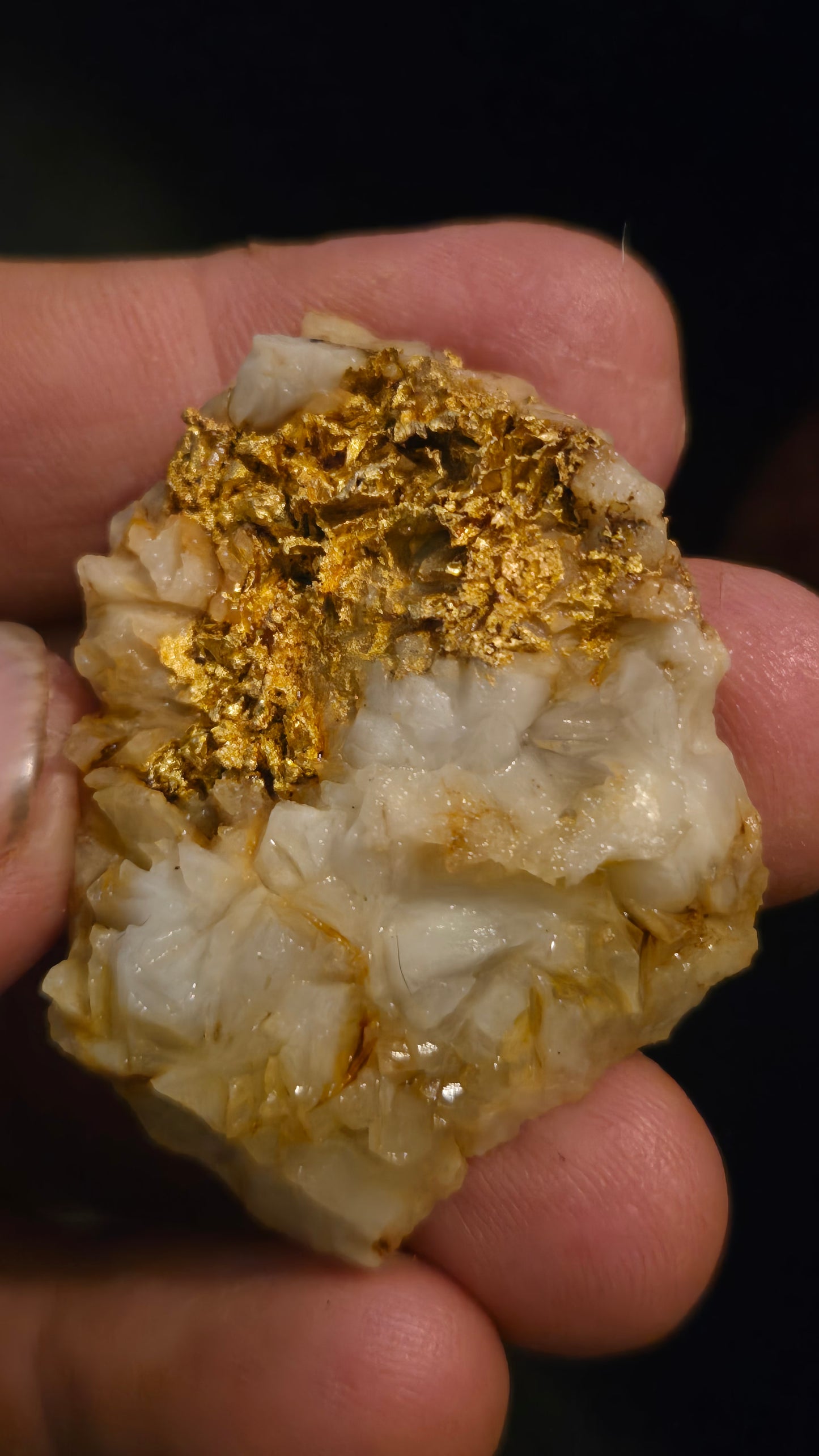 Self collected 35.62 grams gold and quartz from Californias Motherlode Vein