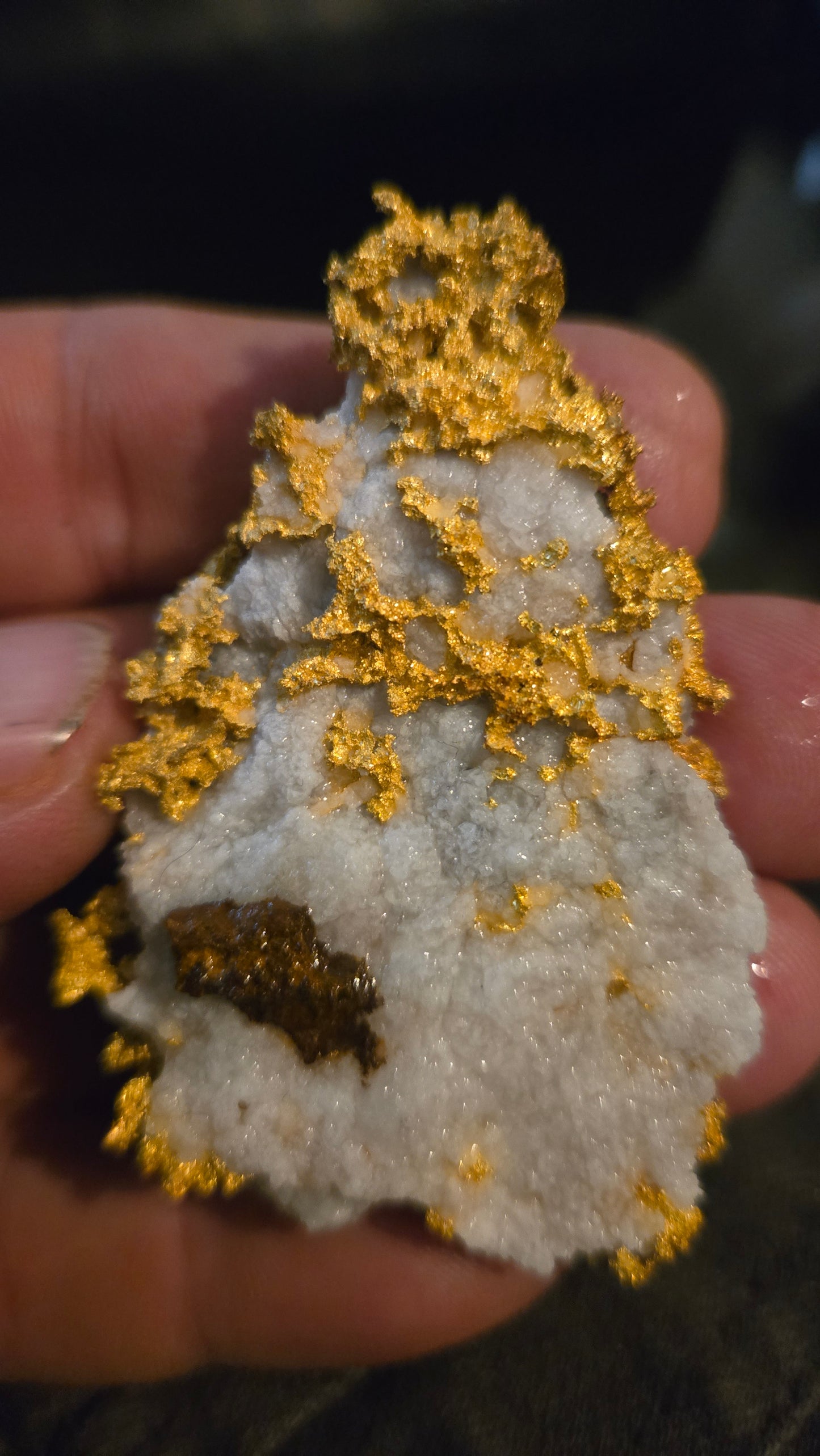 Self collected 76.32 grams gold and quartz from Californias Motherlode Vein