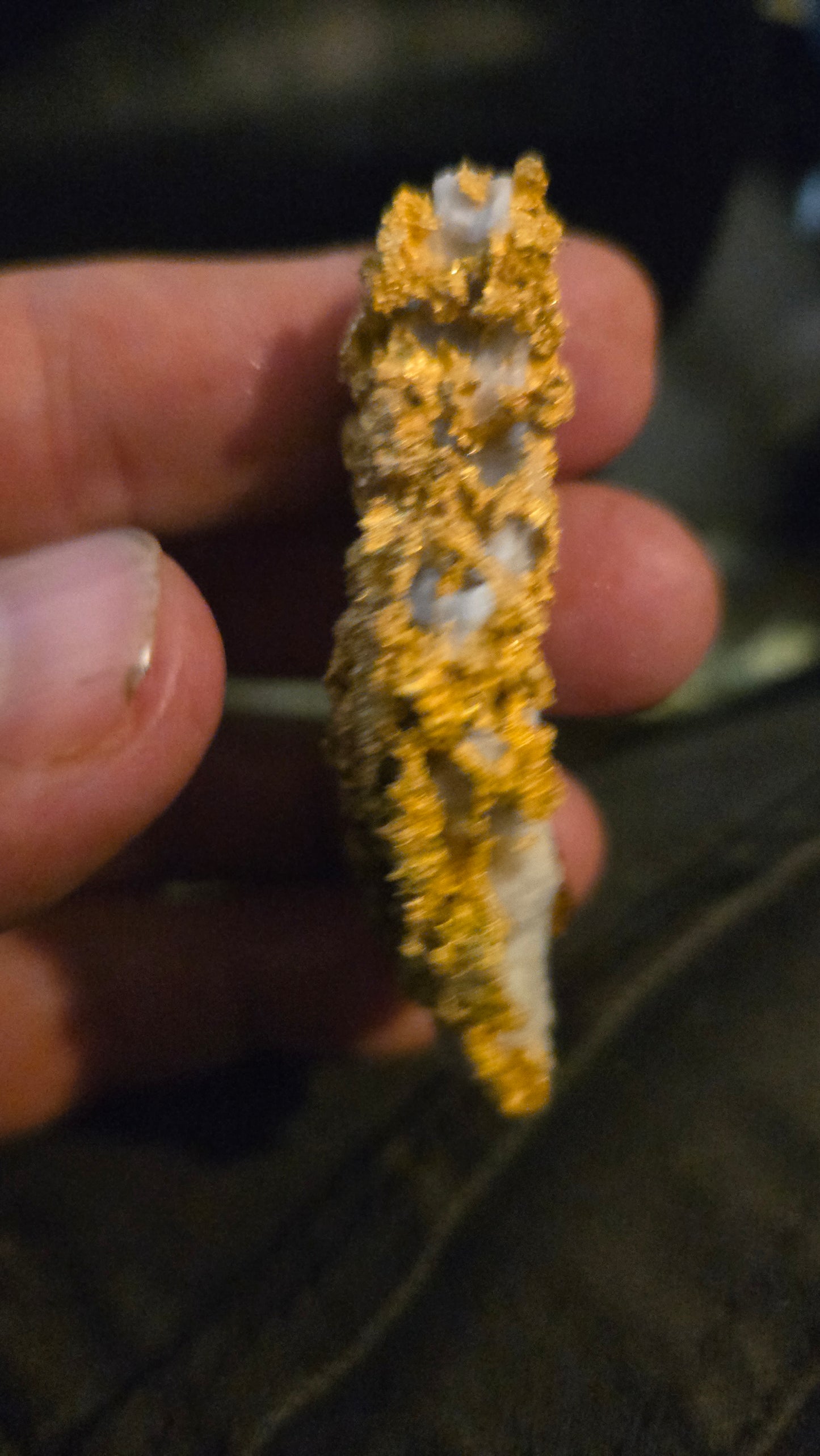 Self collected 76.32 grams gold and quartz from Californias Motherlode Vein