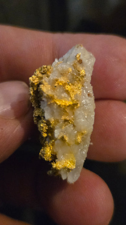 Self collected 21.77 grams gold and quartz from Californias Motherlode Vein