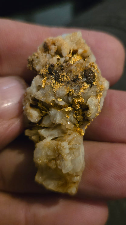 Self collected 29.46 grams gold and quartz from Californias Motherlode Vein