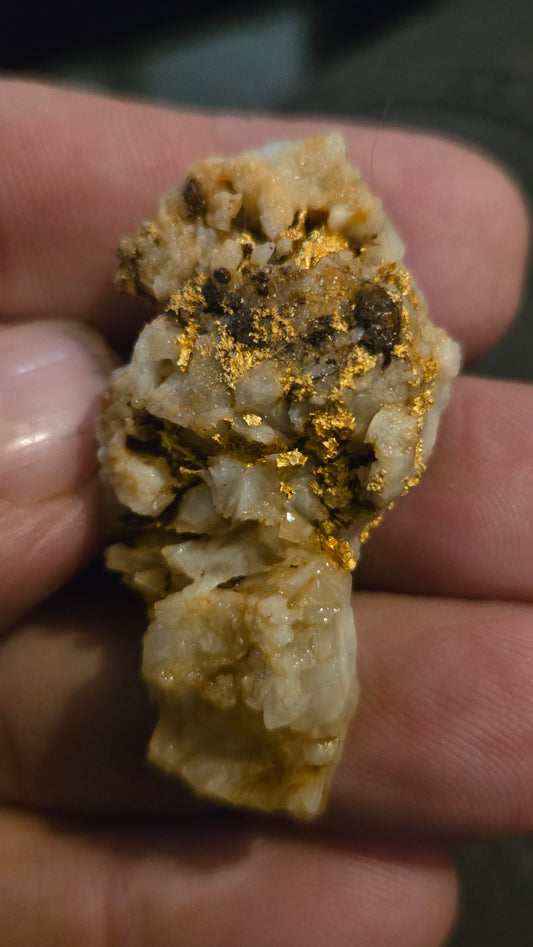 Self collected 29.46 grams gold and quartz from Californias Motherlode Vein