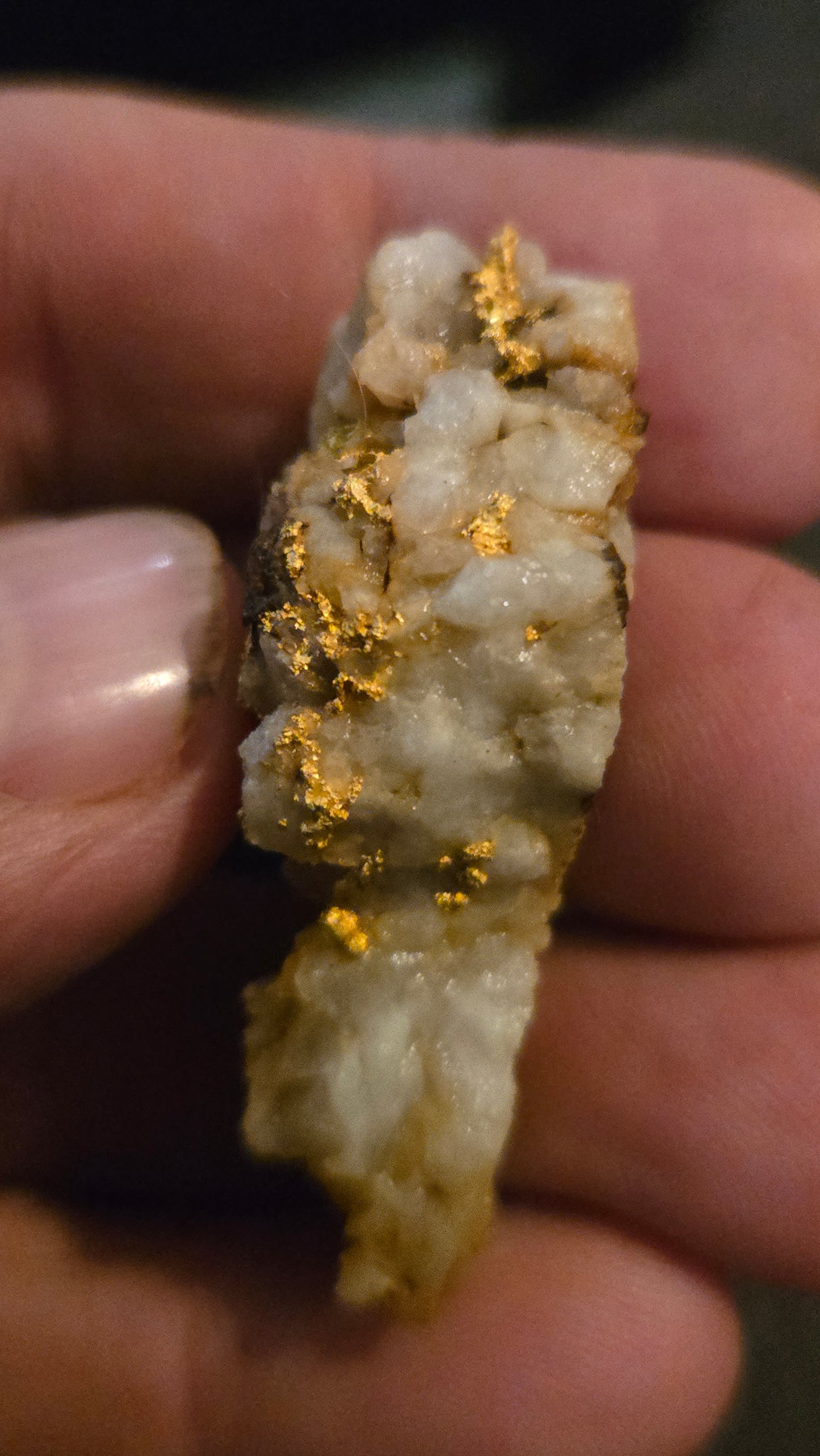 Self collected 29.46 grams gold and quartz from Californias Motherlode Vein