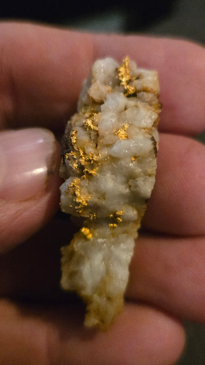 Self collected 29.46 grams gold and quartz from Californias Motherlode Vein