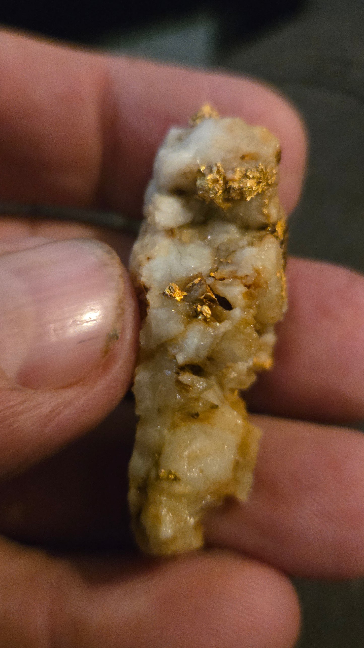 Self collected 29.46 grams gold and quartz from Californias Motherlode Vein