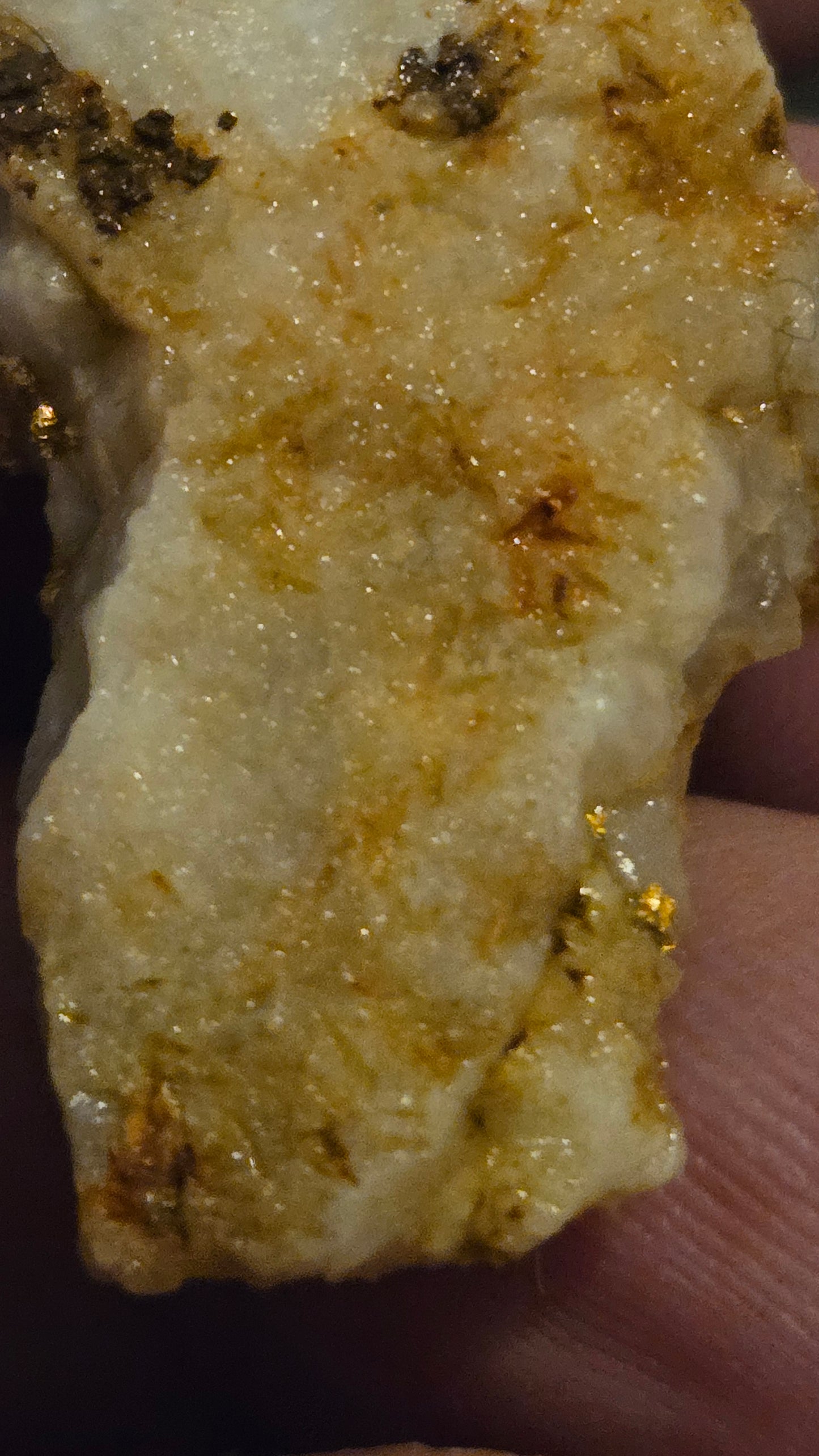 Self collected 29.46 grams gold and quartz from Californias Motherlode Vein