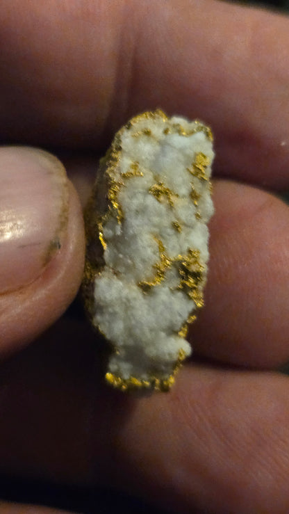 Self collected 16.42 grams gold and quartz from Californias Motherlode Vein